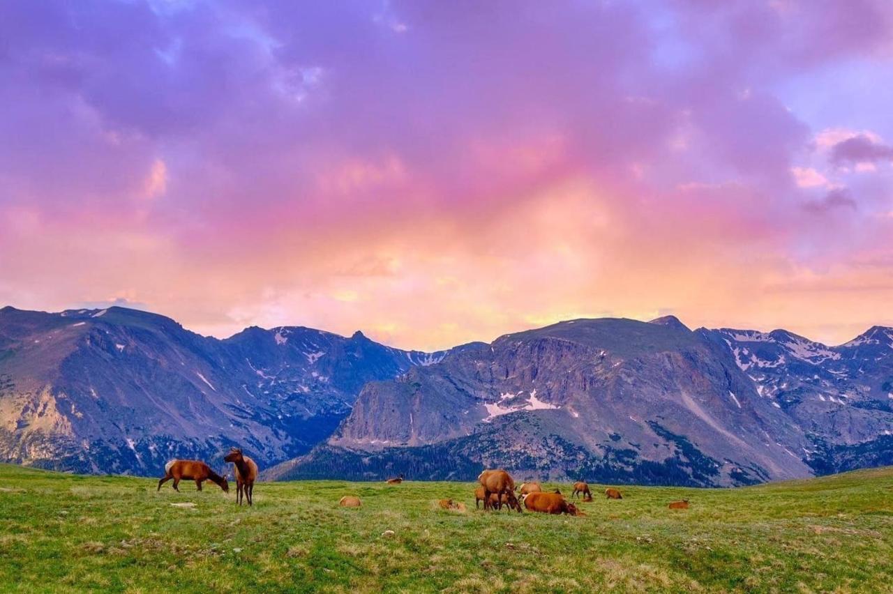 Nakai Peak 41B Condo Estes Park Exteriér fotografie